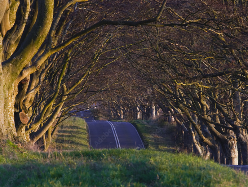 Wimborne, Dorset, United Kingdom
